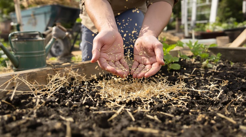 Potager : ce geste printanier que les maraîchers font en avril pour ne pas ruiner vos récoltes d'été